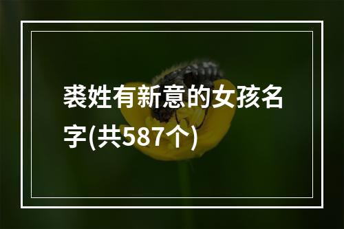 裘姓有新意的女孩名字(共587个)