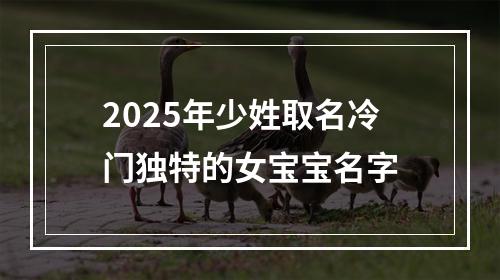 2025年少姓取名冷门独特的女宝宝名字
