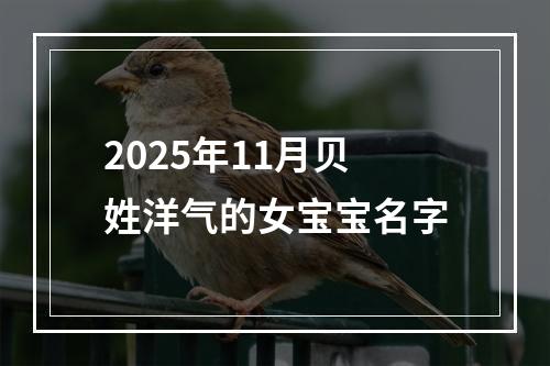 2025年11月贝姓洋气的女宝宝名字