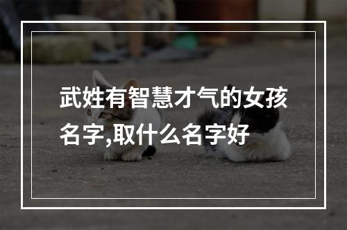 武姓有智慧才气的女孩名字,取什么名字好