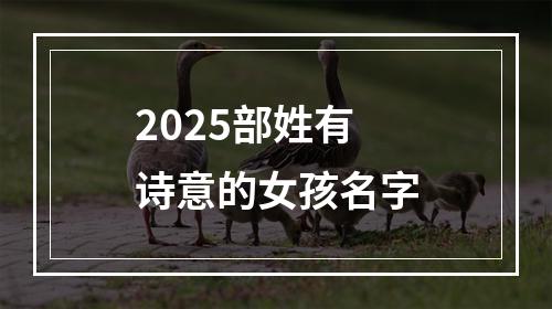 2025部姓有诗意的女孩名字