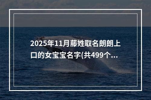 2025年11月藤姓取名朗朗上口的女宝宝名字(共499个)