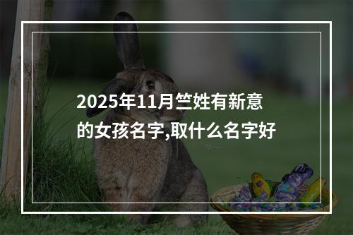 2025年11月竺姓有新意的女孩名字,取什么名字好