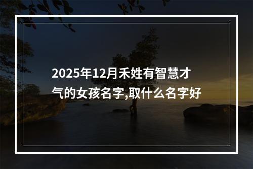 2025年12月禾姓有智慧才气的女孩名字,取什么名字好