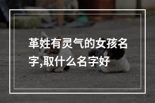 革姓有灵气的女孩名字,取什么名字好