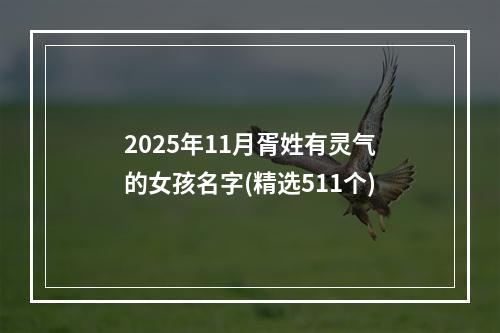 2025年11月胥姓有灵气的女孩名字(精选511个)