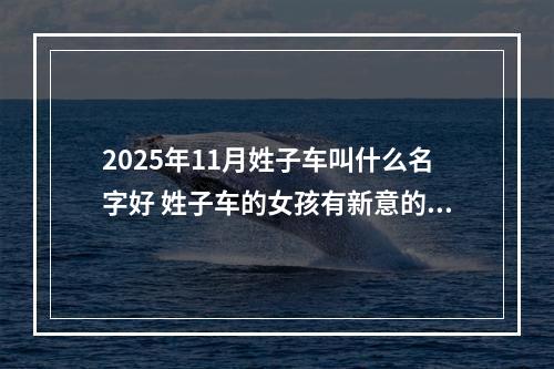 2025年11月姓子车叫什么名字好 姓子车的女孩有新意的名字