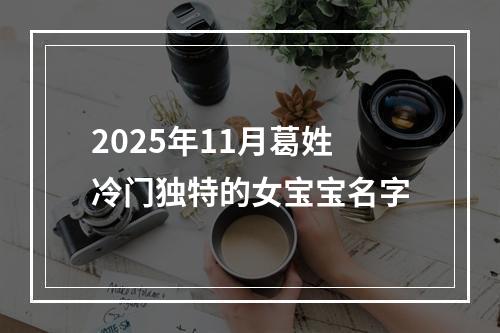2025年11月葛姓冷门独特的女宝宝名字