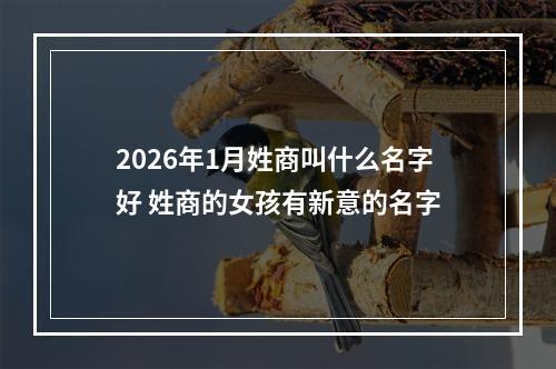 2026年1月姓商叫什么名字好 姓商的女孩有新意的名字