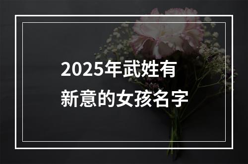 2025年武姓有新意的女孩名字