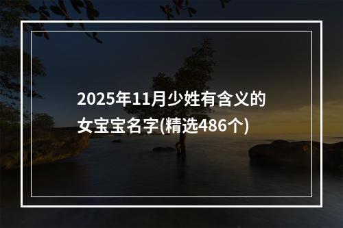 2025年11月少姓有含义的女宝宝名字(精选486个)