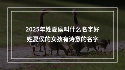 2025年姓夏侯叫什么名字好 姓夏侯的女孩有诗意的名字