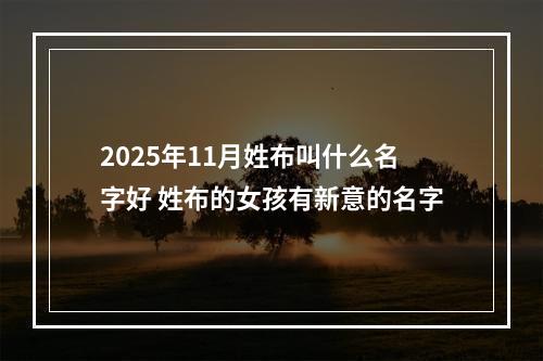 2025年11月姓布叫什么名字好 姓布的女孩有新意的名字
