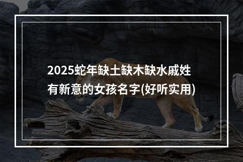 2025蛇年缺土缺木缺水戚姓有新意的女孩名字(好听实用)