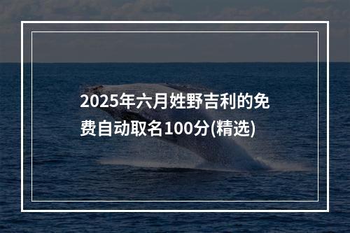 2025年六月姓野吉利的免费自动取名100分(精选)