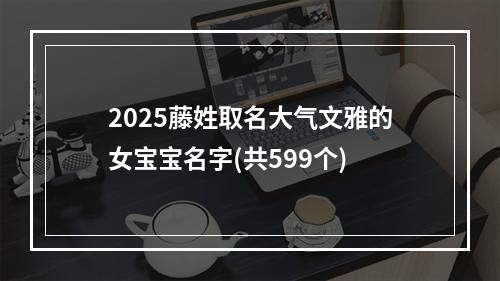2025藤姓取名大气文雅的女宝宝名字(共599个)