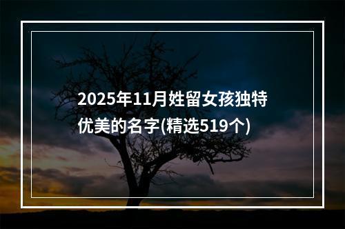 2025年11月姓留女孩独特优美的名字(精选519个)