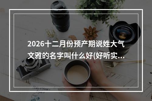 2026十二月份预产期说姓大气文雅的名字叫什么好(好听实用)