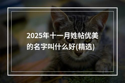 2025年十一月姓帖优美的名字叫什么好(精选)