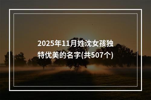 2025年11月姓沈女孩独特优美的名字(共507个)
