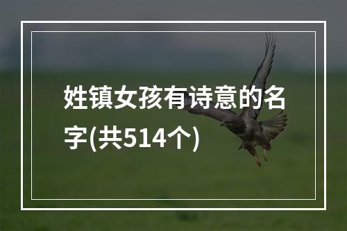 姓镇女孩有诗意的名字(共514个)