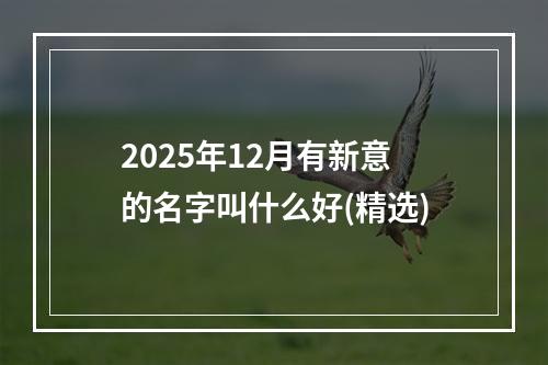 2025年12月有新意的名字叫什么好(精选)