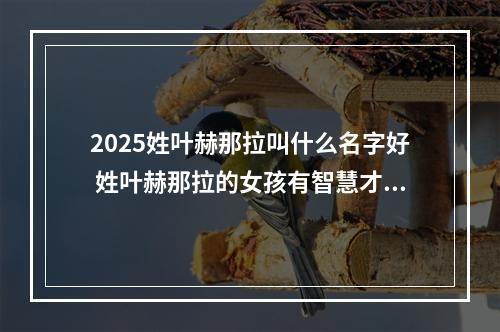 2025姓叶赫那拉叫什么名字好 姓叶赫那拉的女孩有智慧才气的名字