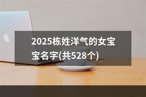 2025栋姓洋气的女宝宝名字(共528个)