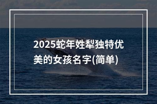 2025蛇年姓犁独特优美的女孩名字(简单)