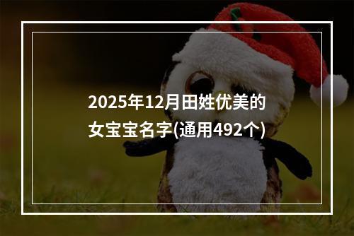 2025年12月田姓优美的女宝宝名字(通用492个)