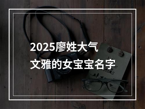 2025廖姓大气文雅的女宝宝名字