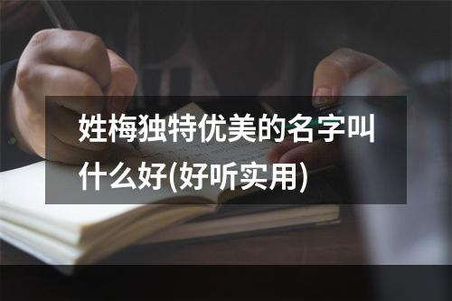 姓梅独特优美的名字叫什么好(好听实用)