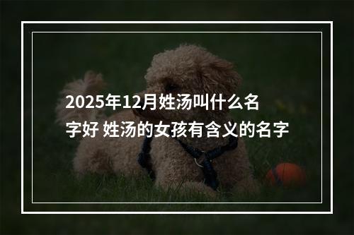 2025年12月姓汤叫什么名字好 姓汤的女孩有含义的名字