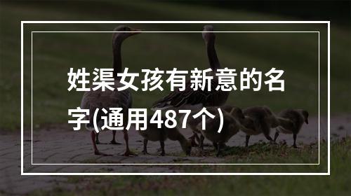 姓渠女孩有新意的名字(通用487个)