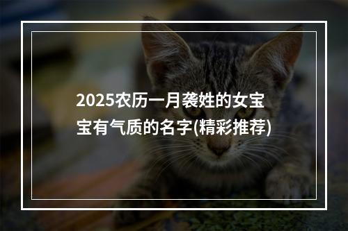 2025农历一月袭姓的女宝宝有气质的名字(精彩推荐)