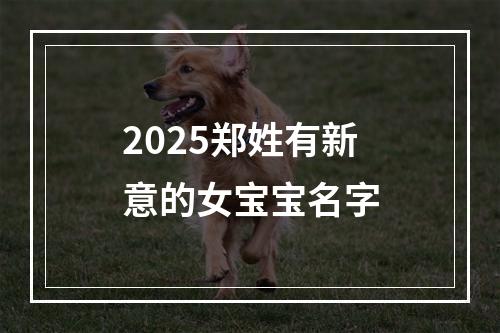 2025郑姓有新意的女宝宝名字