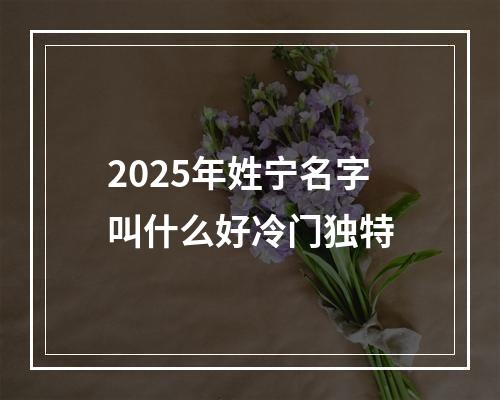 2025年姓宁名字叫什么好冷门独特