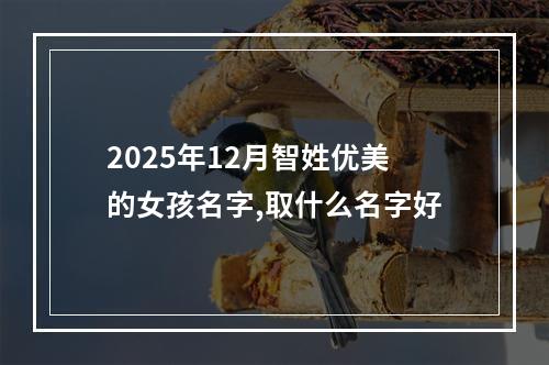 2025年12月智姓优美的女孩名字,取什么名字好