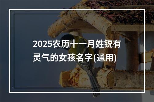 2025农历十一月姓锐有灵气的女孩名字(通用)