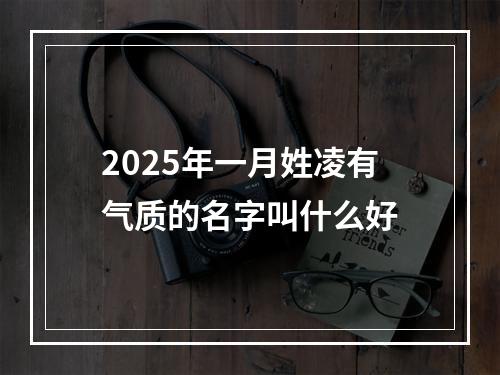 2025年一月姓凌有气质的名字叫什么好
