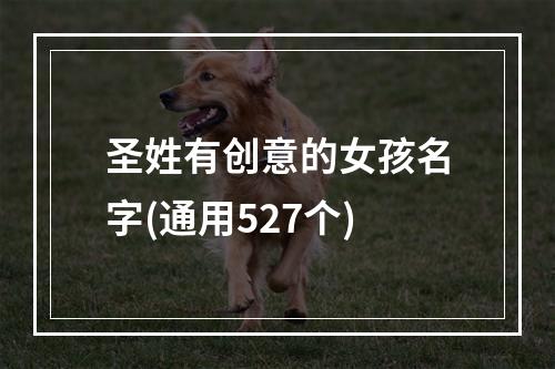 圣姓有创意的女孩名字(通用527个)