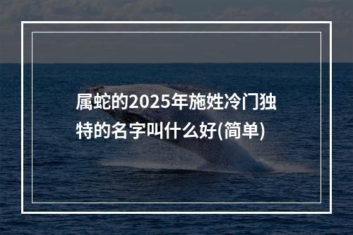 属蛇的2025年施姓冷门独特的名字叫什么好(简单)