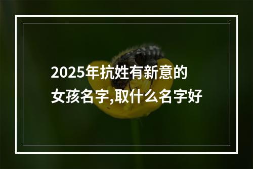 2025年抗姓有新意的女孩名字,取什么名字好