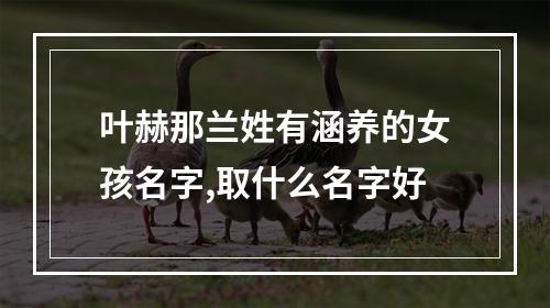 叶赫那兰姓有涵养的女孩名字,取什么名字好