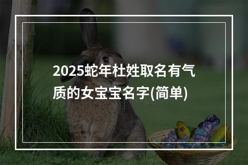 2025蛇年杜姓取名有气质的女宝宝名字(简单)