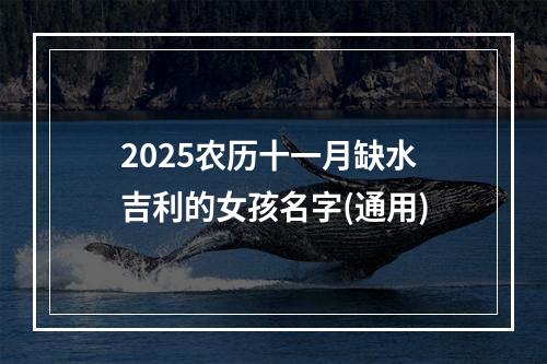2025农历十一月缺水吉利的女孩名字(通用)