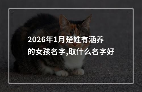 2026年1月楚姓有涵养的女孩名字,取什么名字好