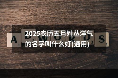 2025农历五月姓丛洋气的名字叫什么好(通用)