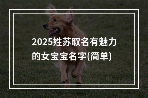2025姓苏取名有魅力的女宝宝名字(简单)