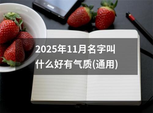 2025年11月名字叫什么好有气质(通用)